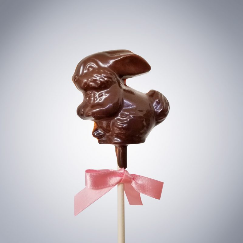 Easter Bunny Chocolate Lollipop