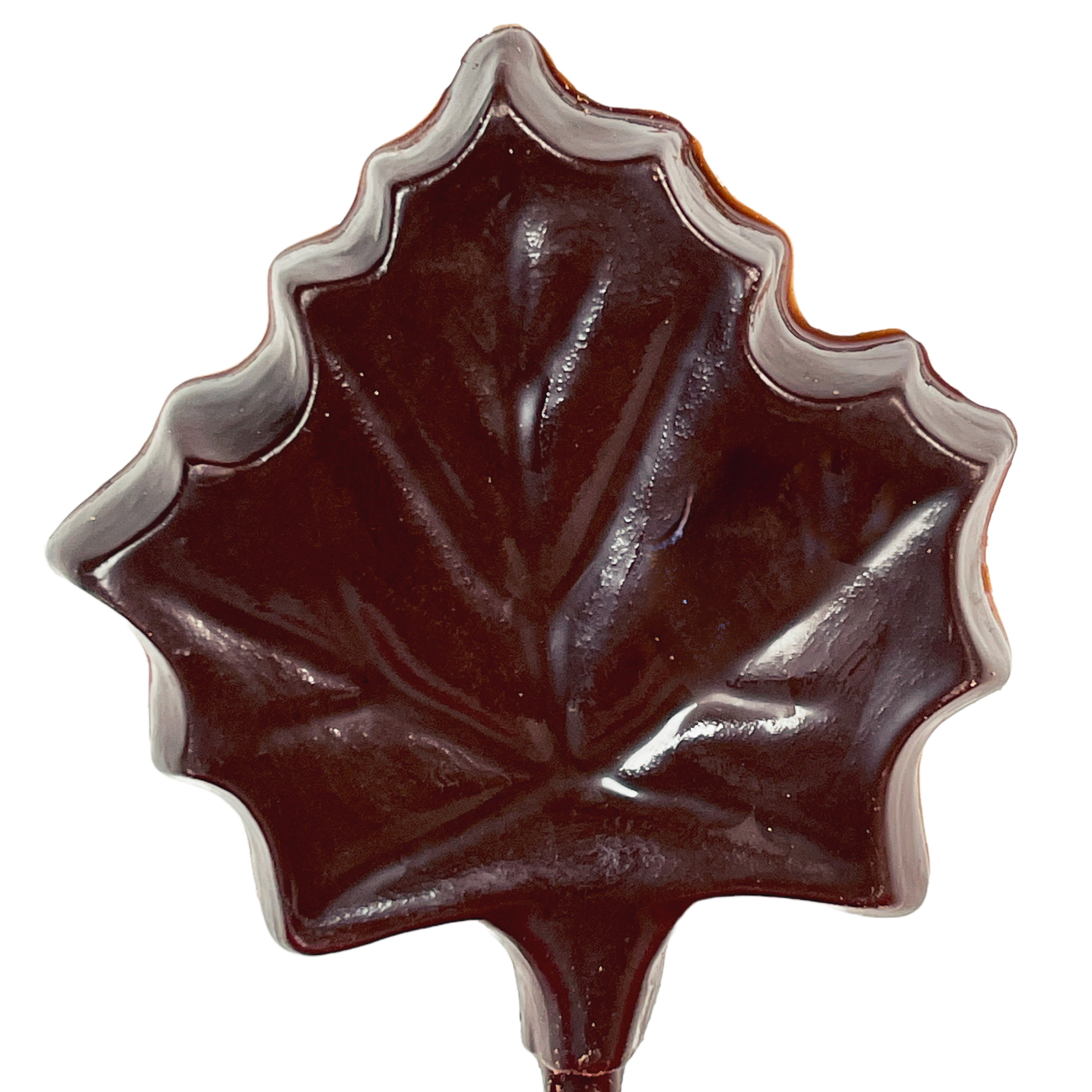 Chocolate Maple Leaf